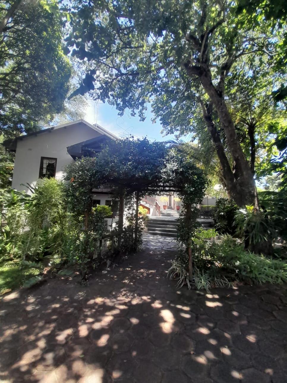 Figtree Lane Lodge ريتشاردز باي المظهر الخارجي الصورة